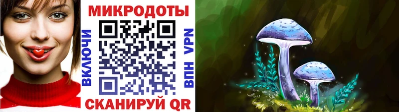 сколько стоит  Соль-Илецк  Псилоцибиновые грибы мухоморы 